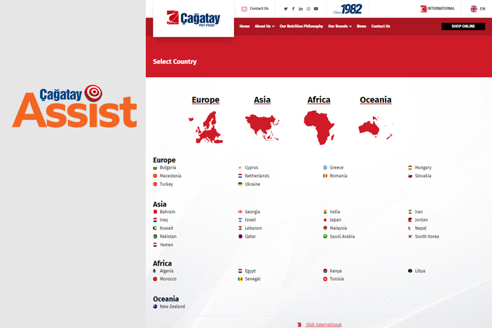 VanCat, tv reklamı, Evde Kal
