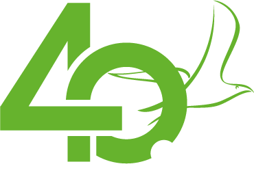 40. Yıl